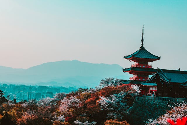 Livre auteur japonais
