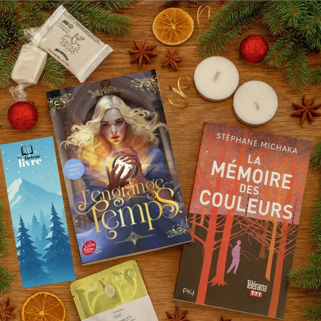 Box livre ado noël
